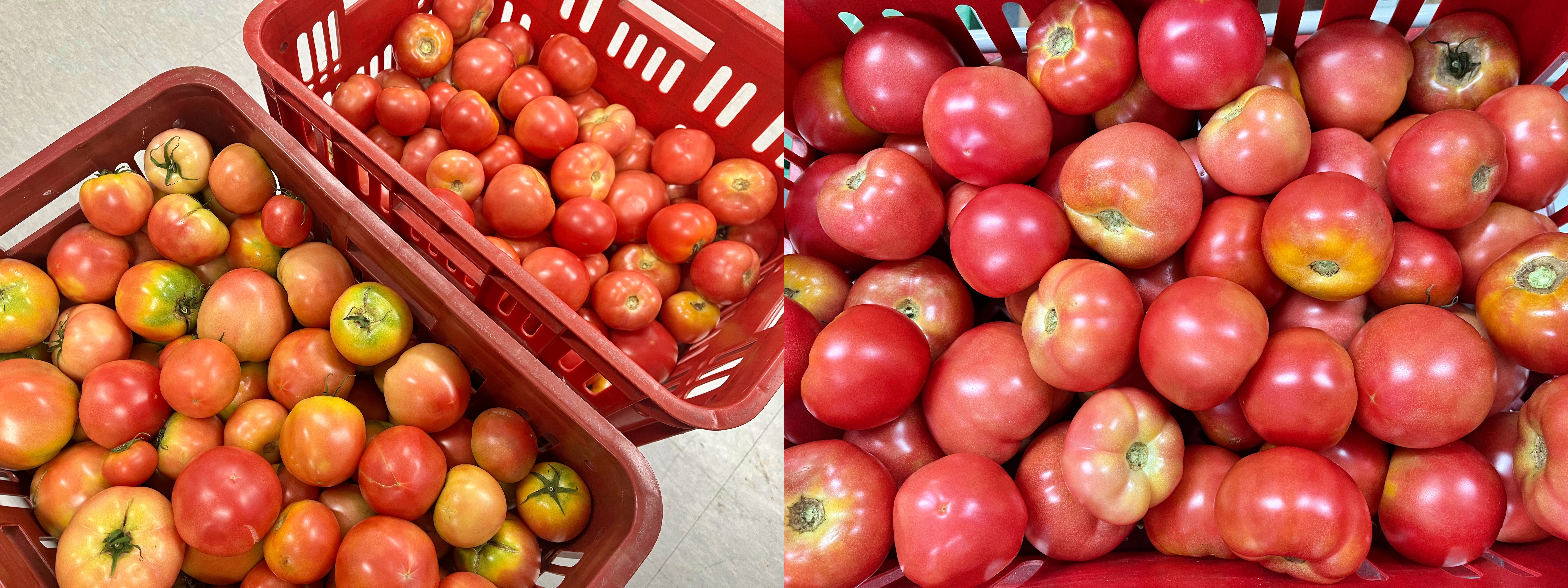 ?%20%20%20?1.jpg