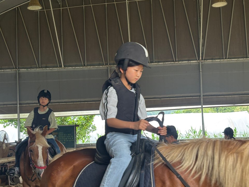 KakaoTalk_20250626_182756136_28.jpg
